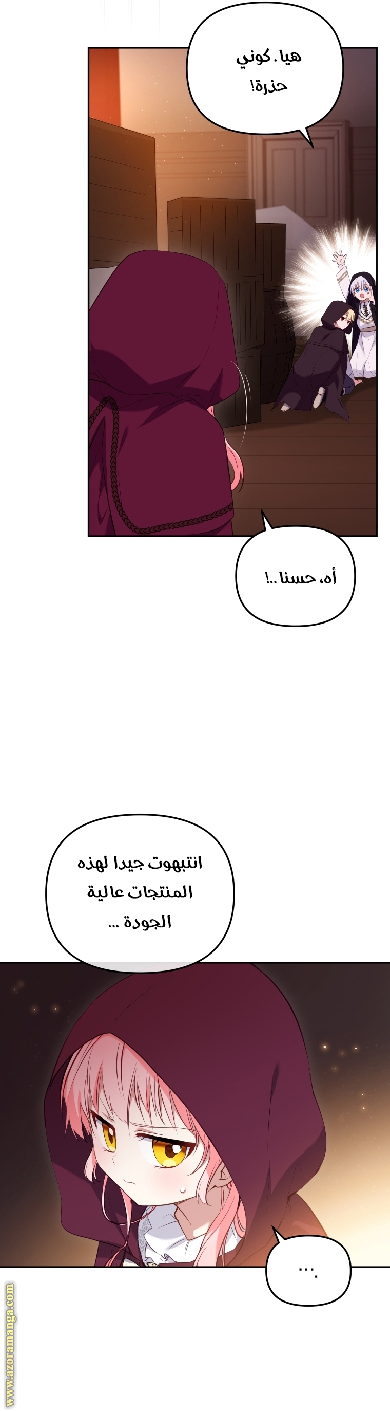 الصفحة 23