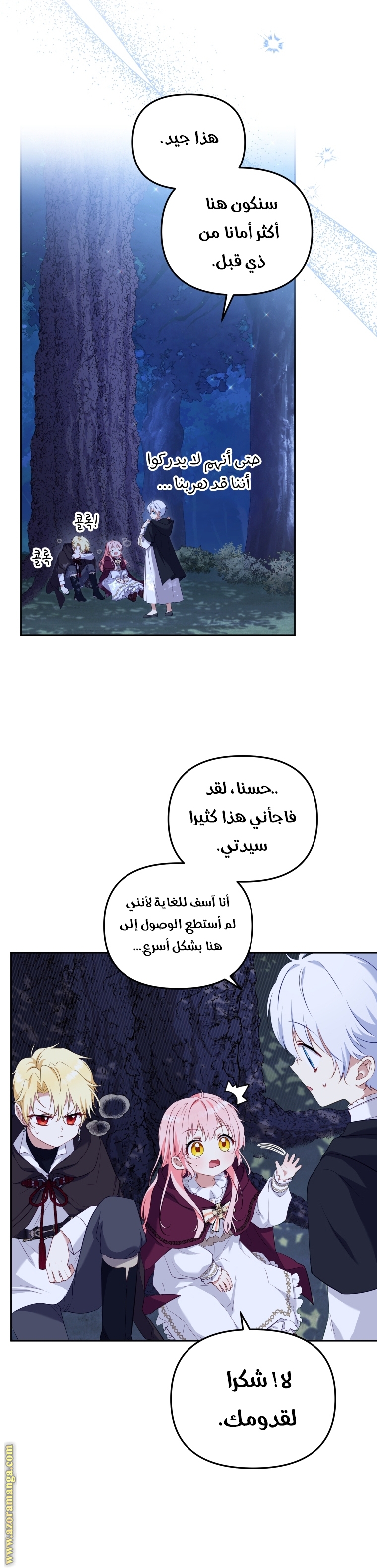 الصفحة 25