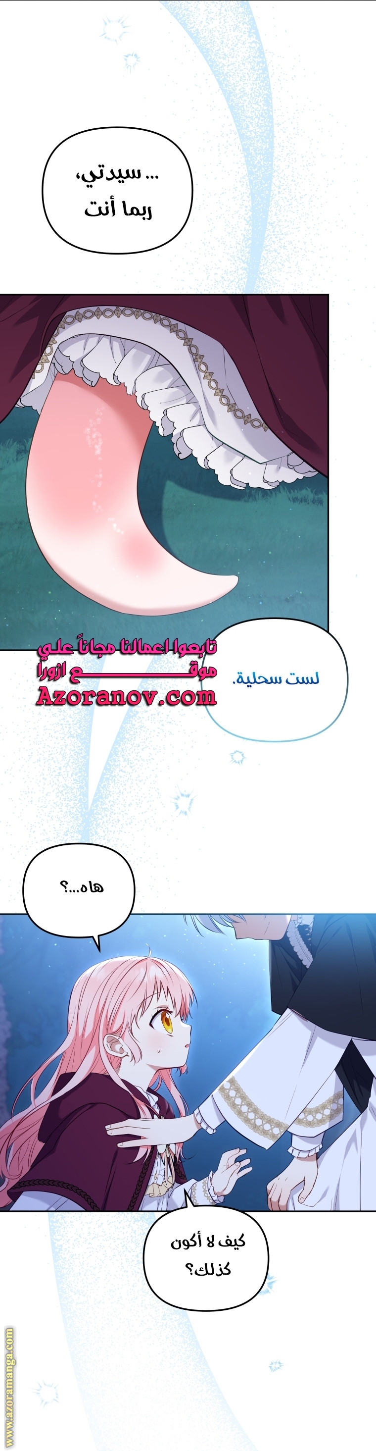 الصفحة 31