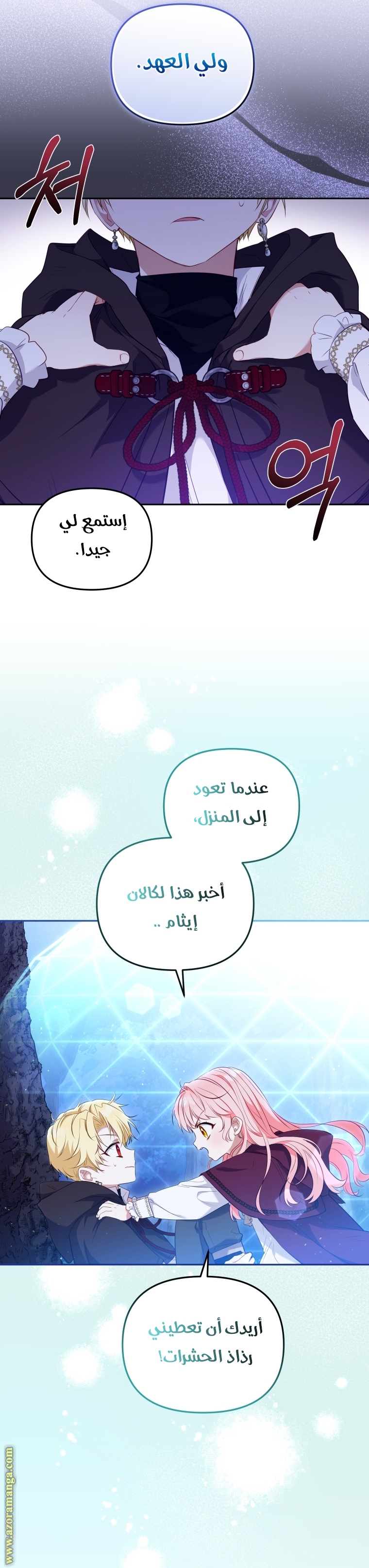 الصفحة 13