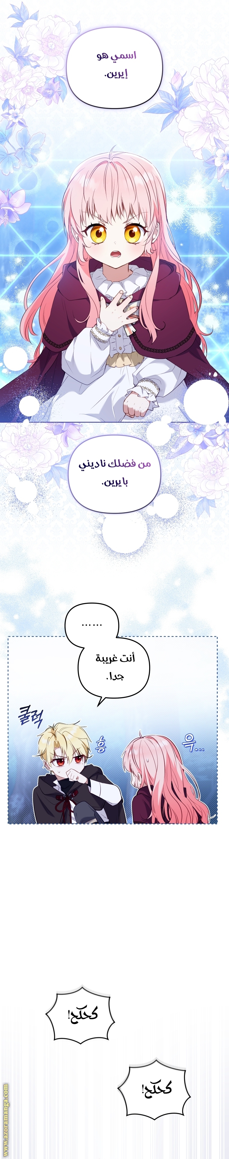 الصفحة 16
