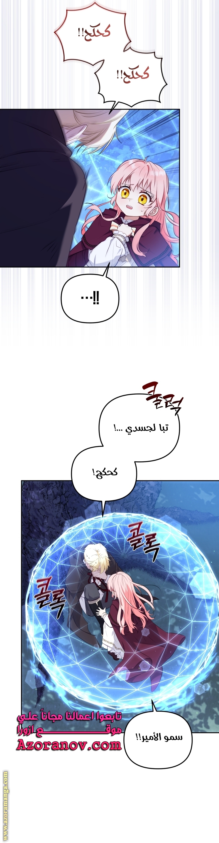 الصفحة 17