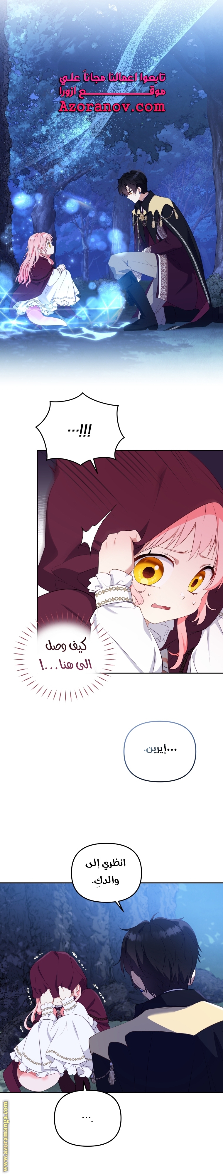الصفحة 24