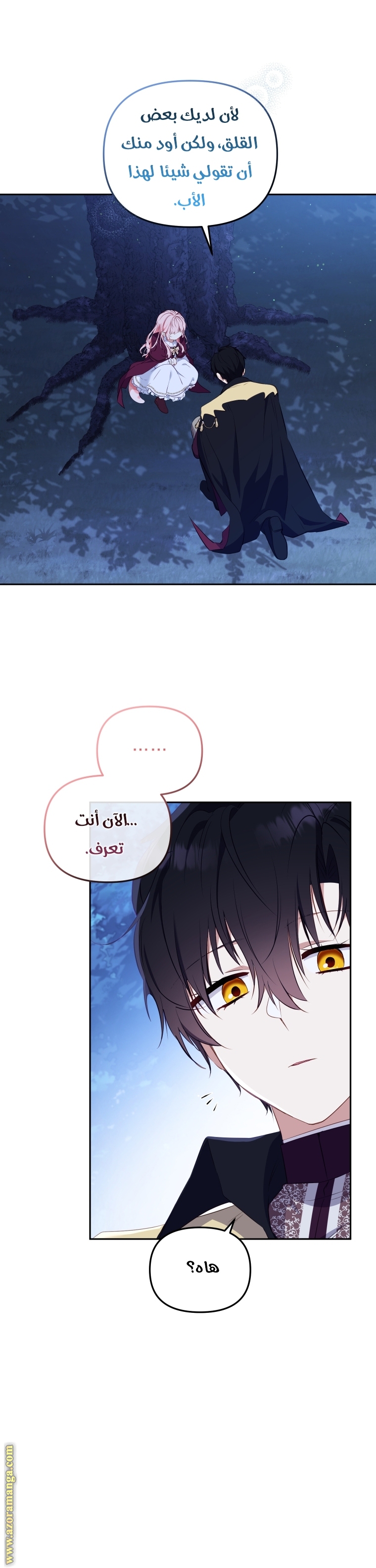 الصفحة 3