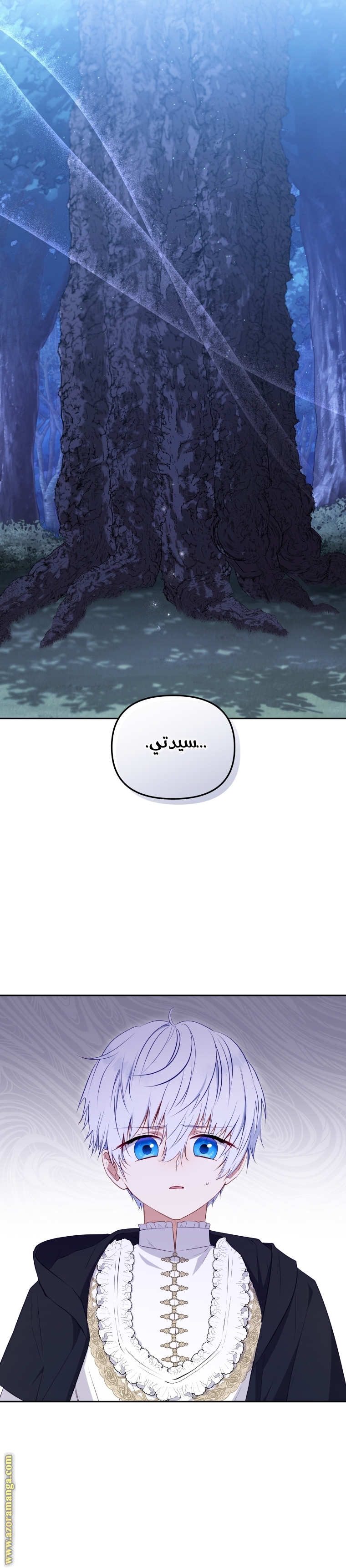 الصفحة 26