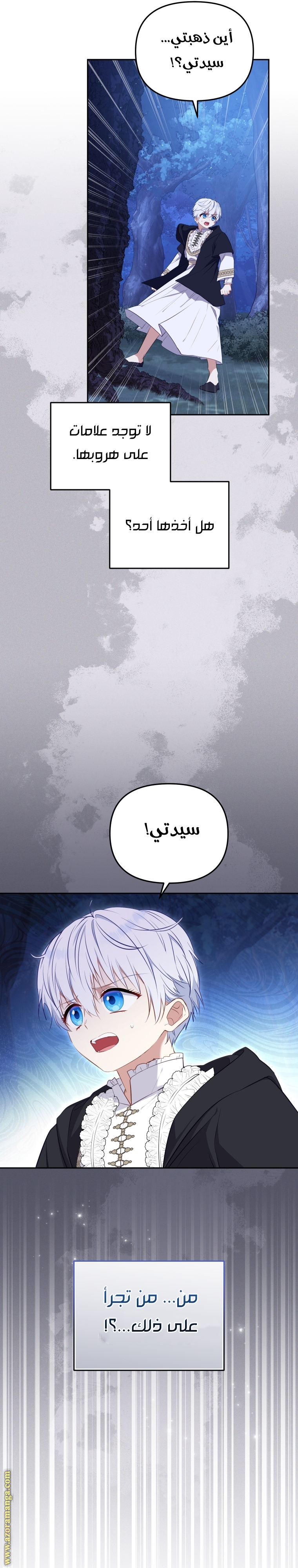 الصفحة 27