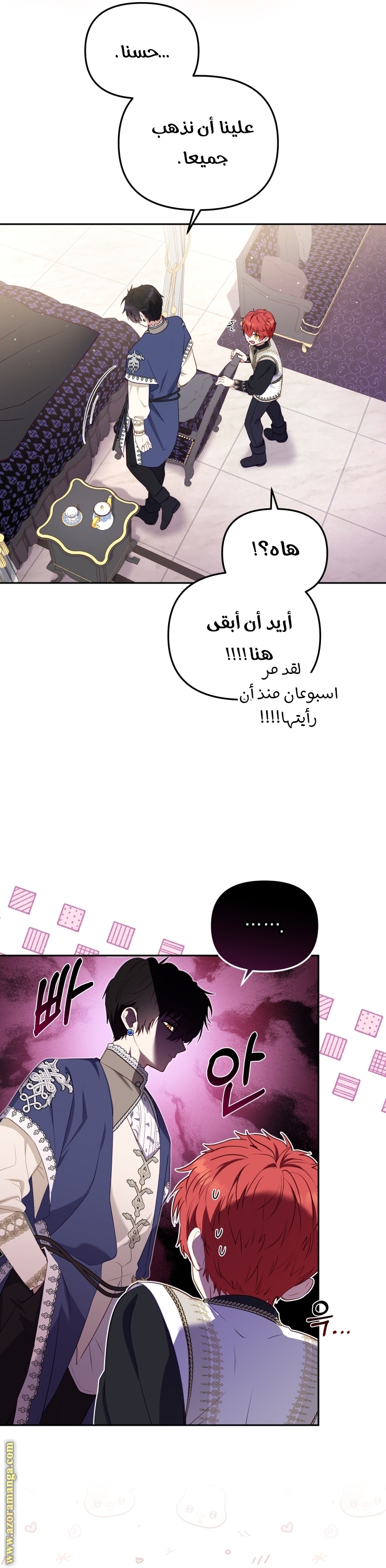 الصفحة 25