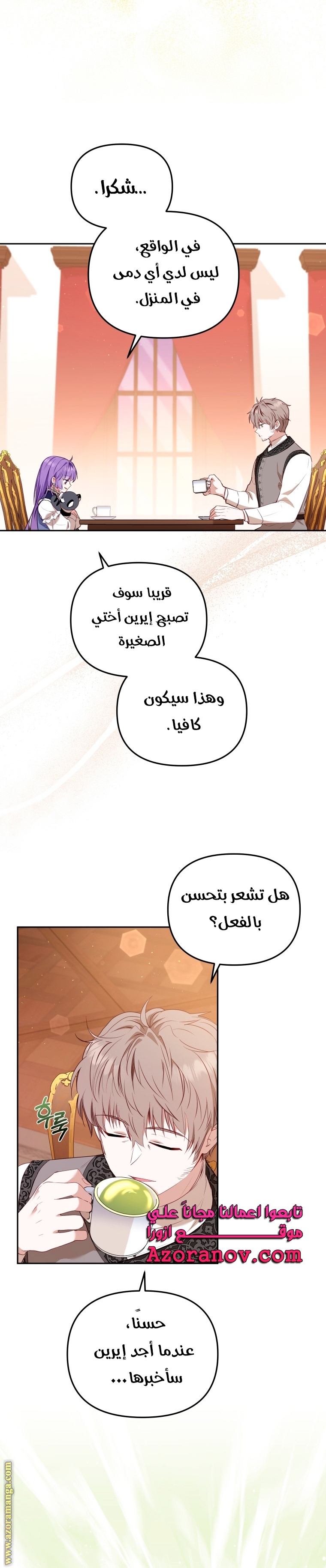 الصفحة 26