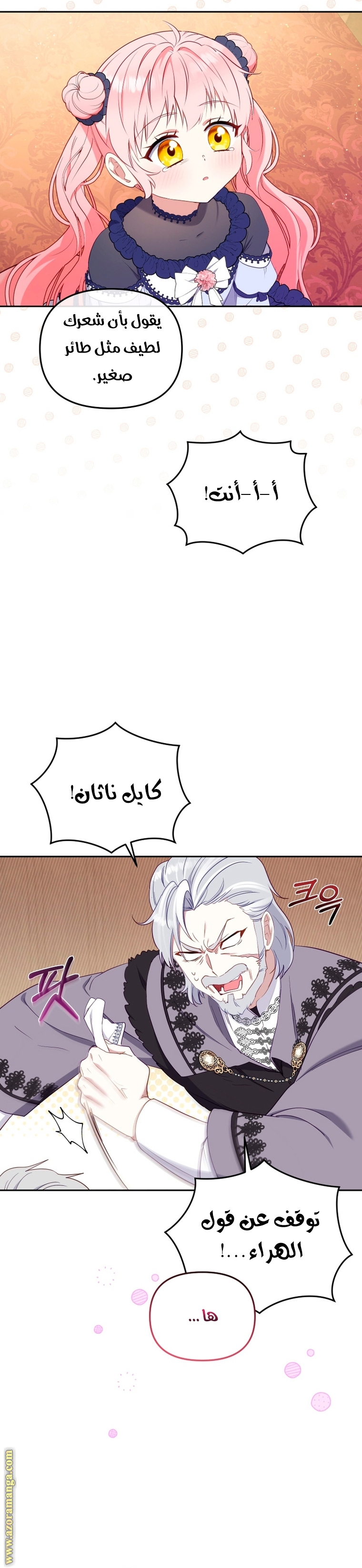 الصفحة 27