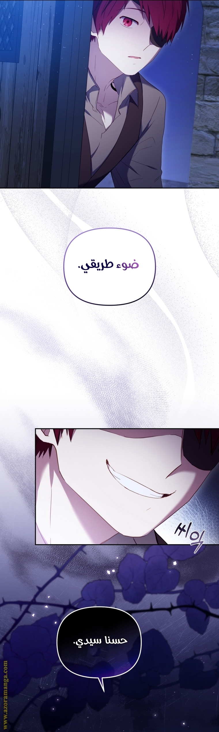 الصفحة 29