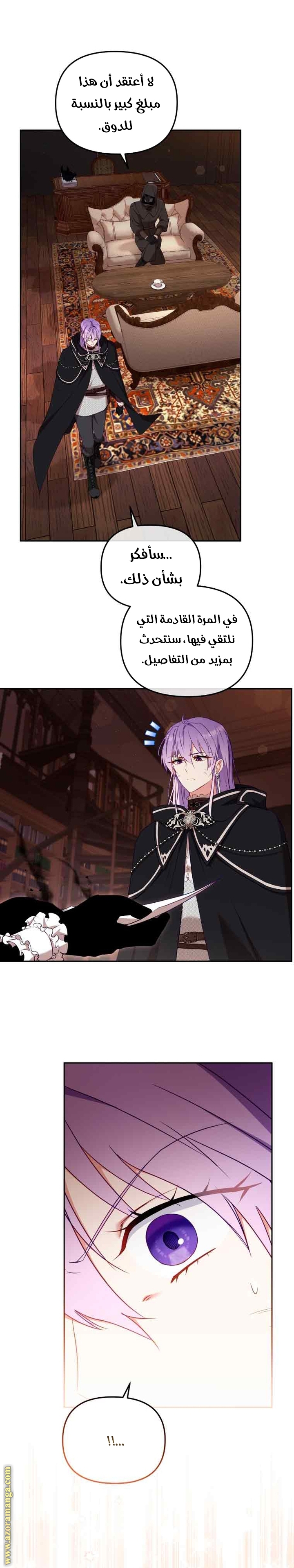 الصفحة 13