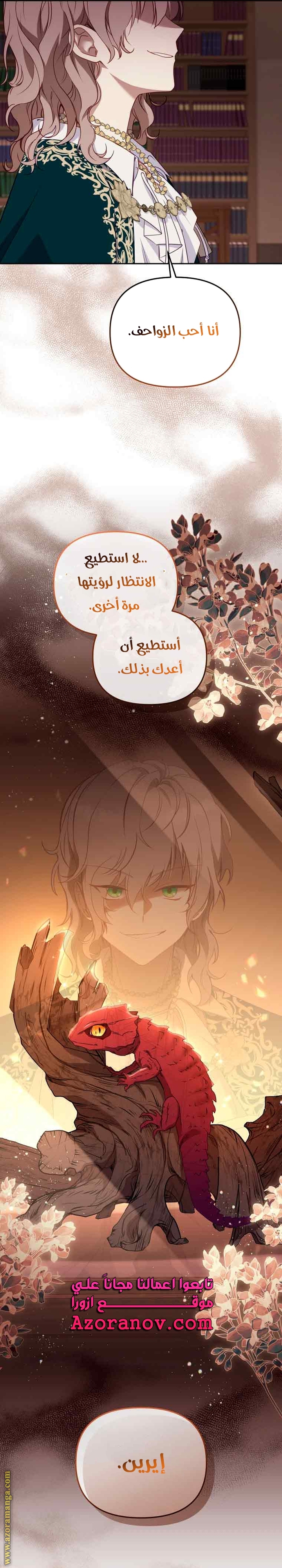 الصفحة 26
