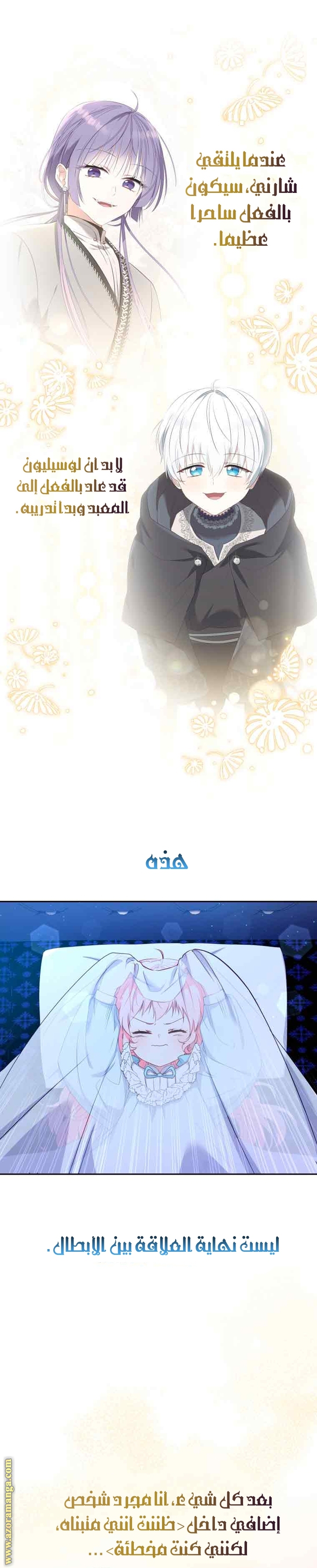 الصفحة 29