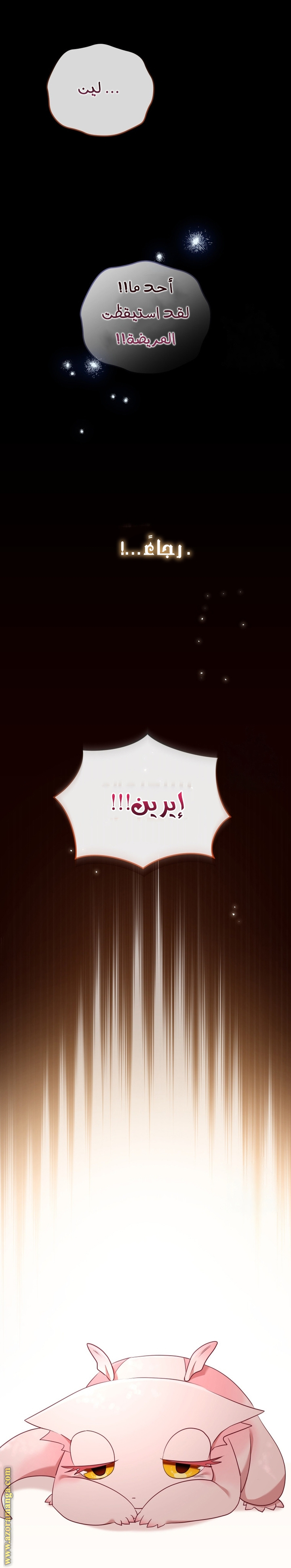 الصفحة 22