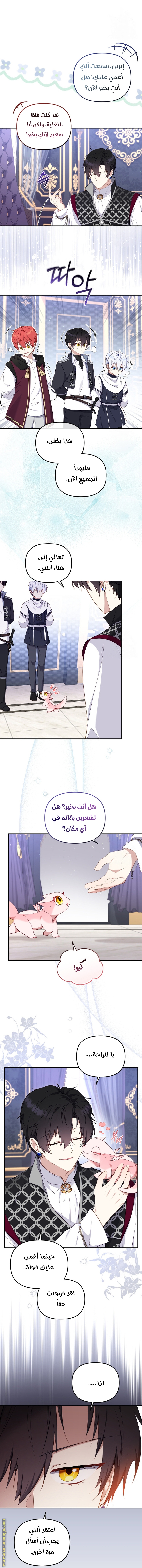 الصفحة 27