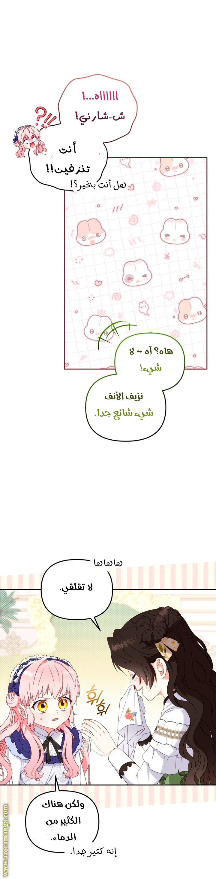 الصفحة 24