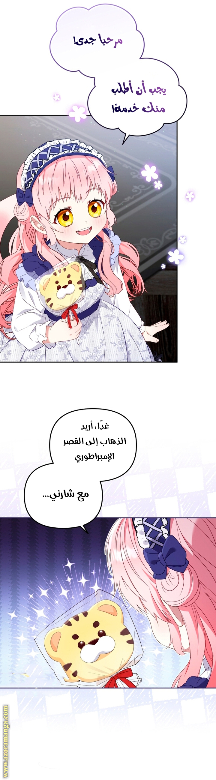 الصفحة 14