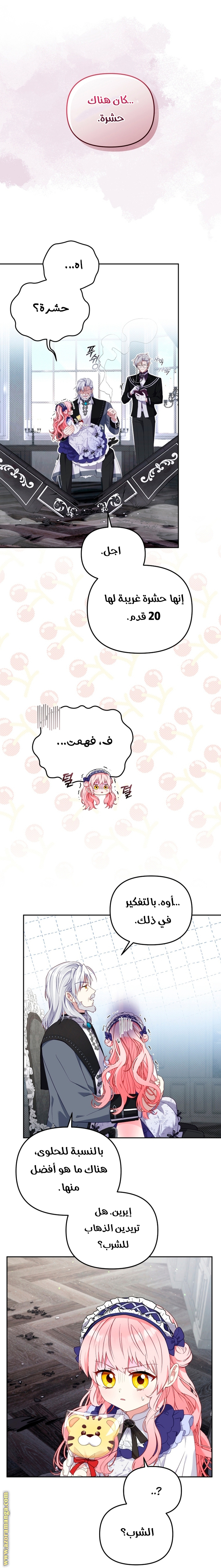 الصفحة 25