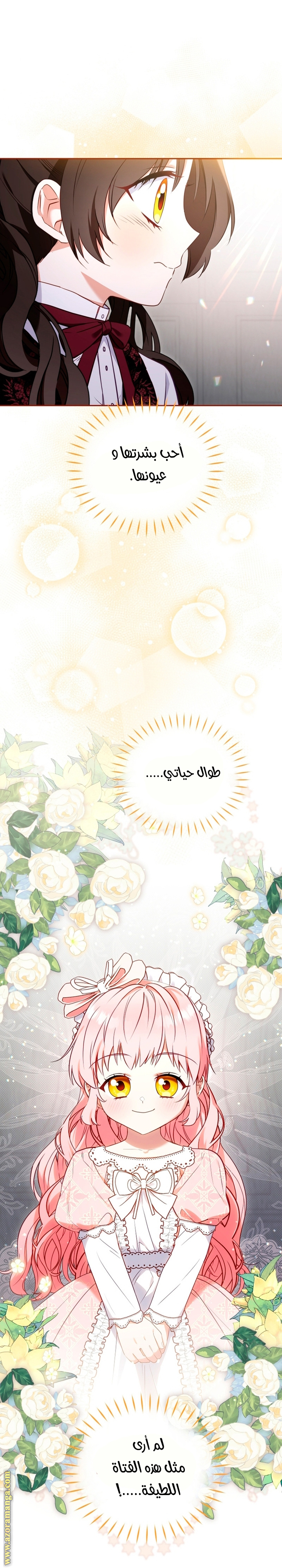 الصفحة 2