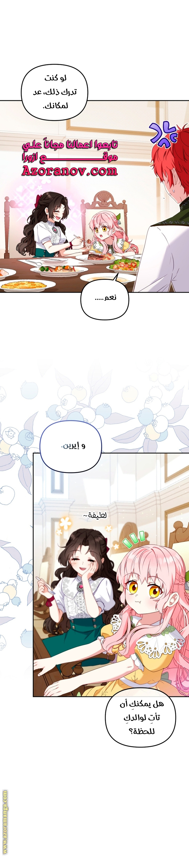 الصفحة 17