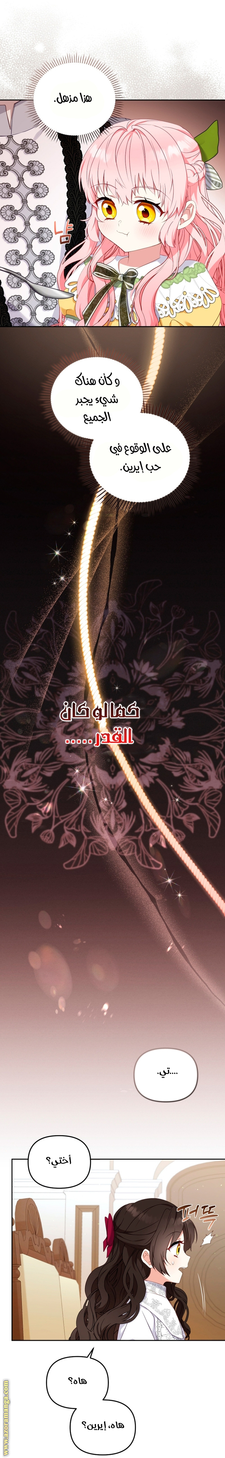 الصفحة 25