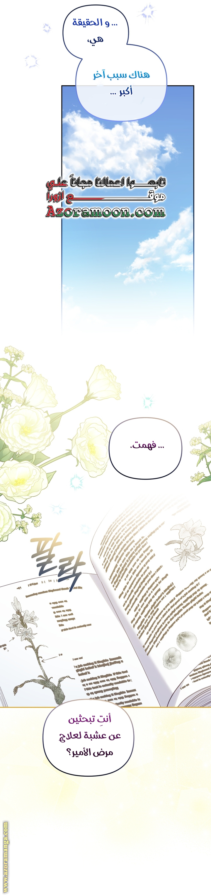 الصفحة 19