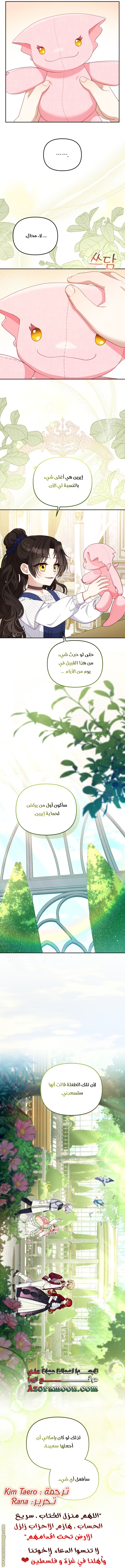 الصفحة 24