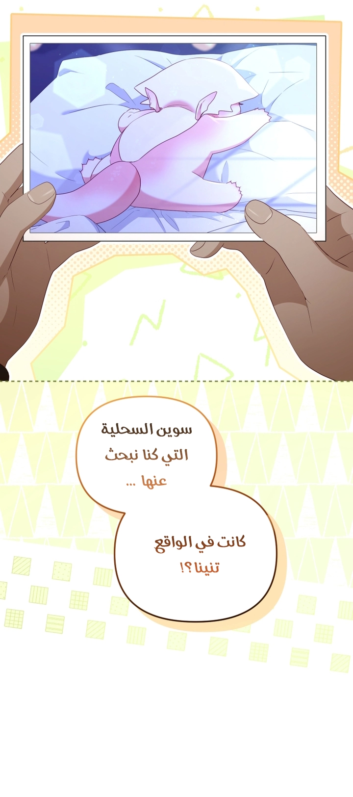 الصفحة 22