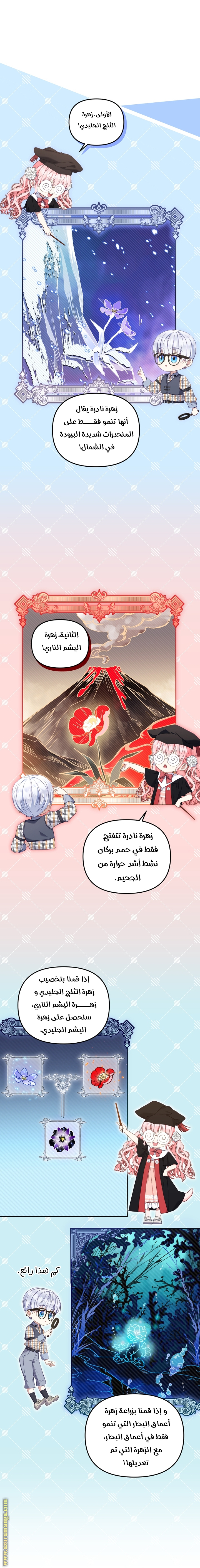 الصفحة 3