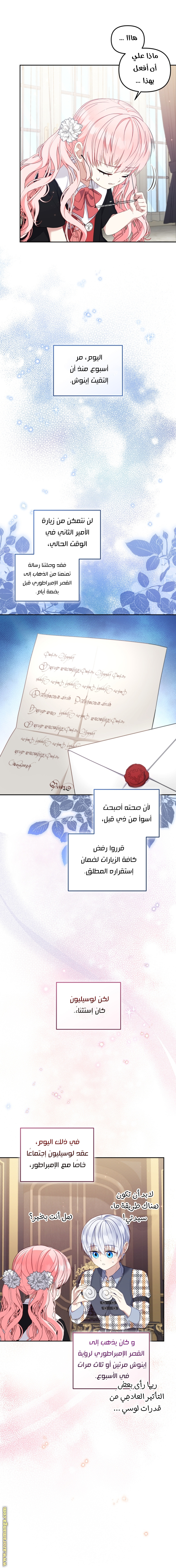 الصفحة 8