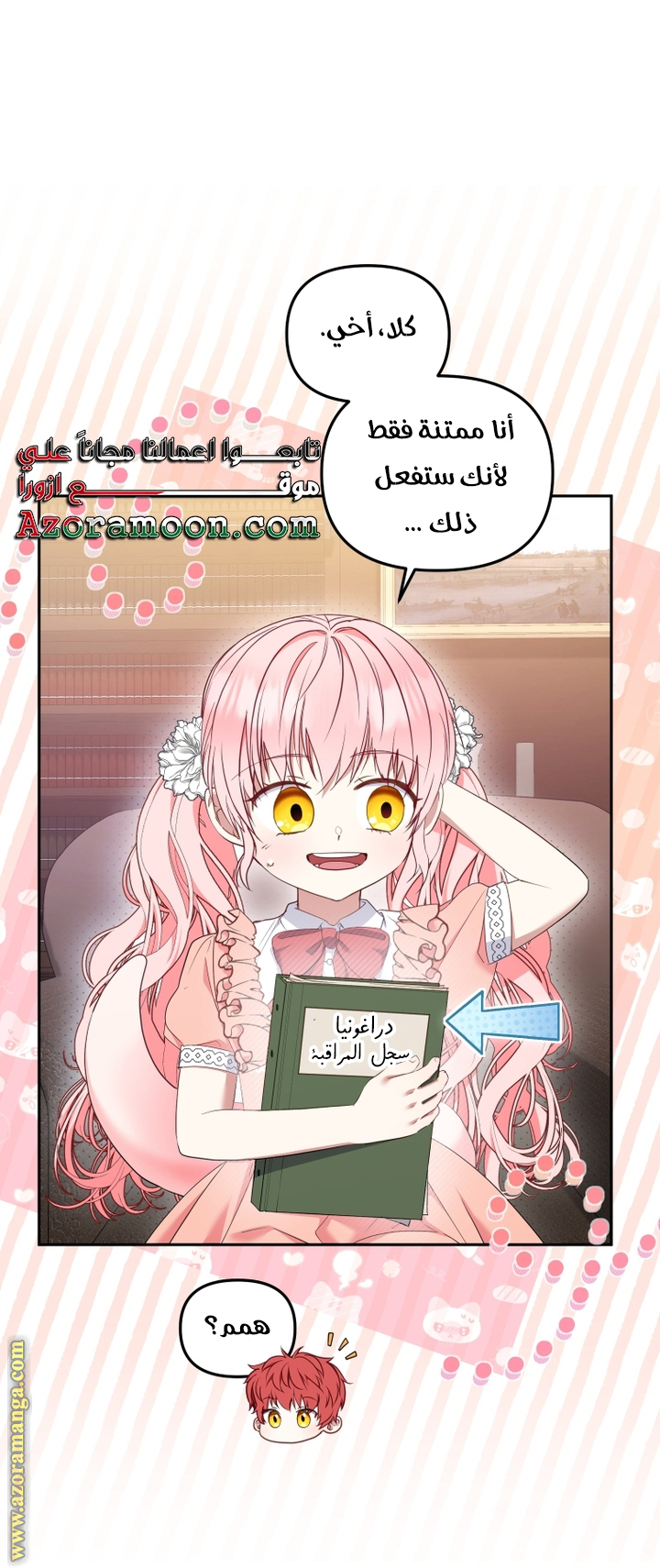 الصفحة 17