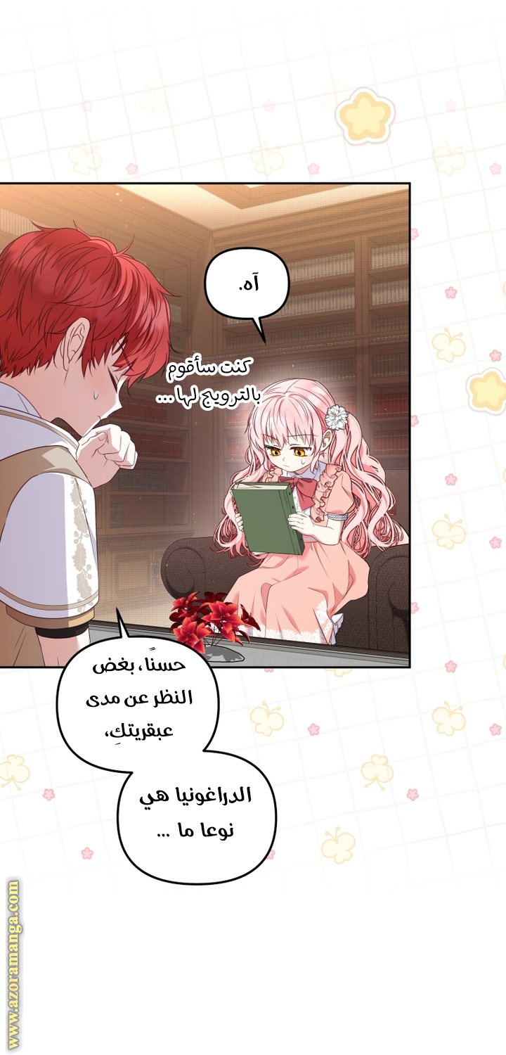 الصفحة 19