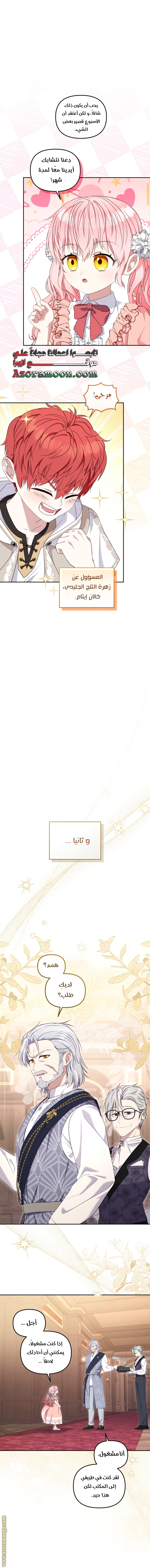 الصفحة 25