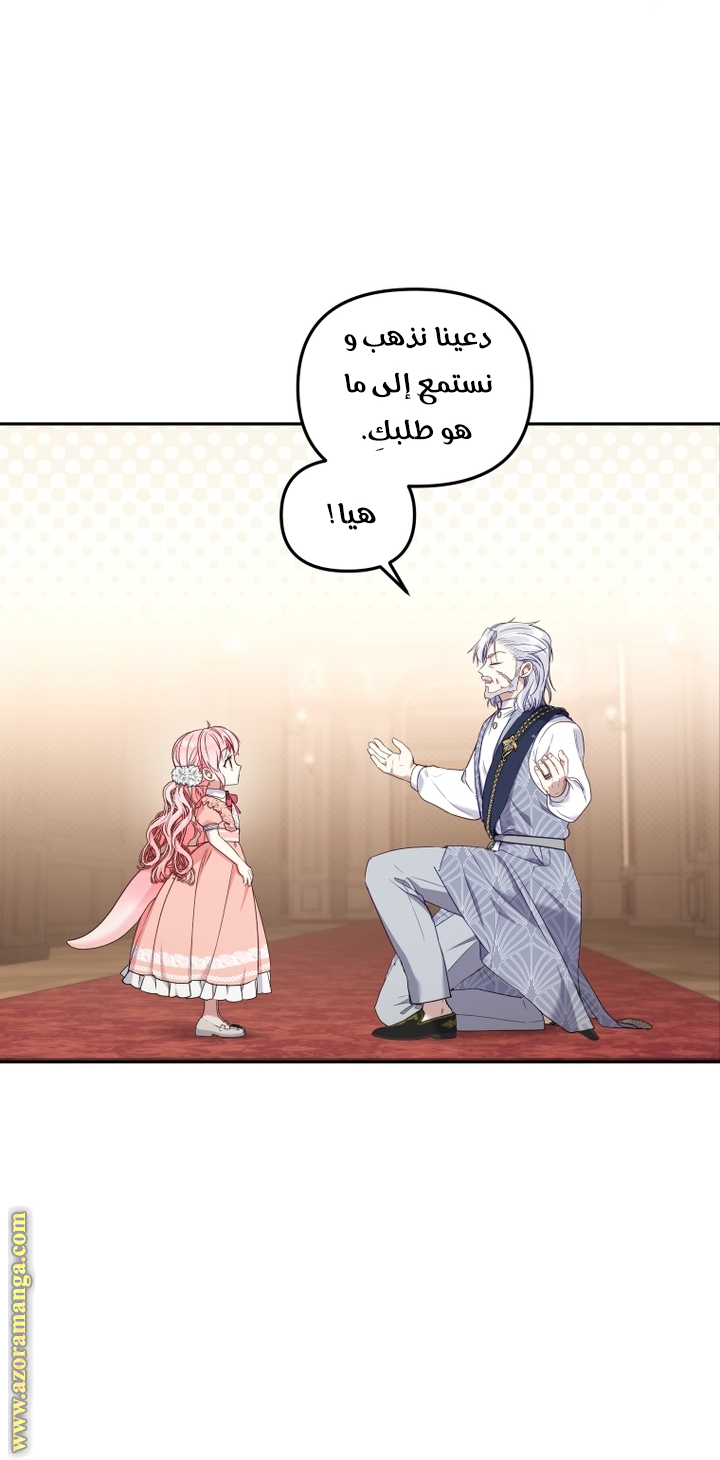 الصفحة 26