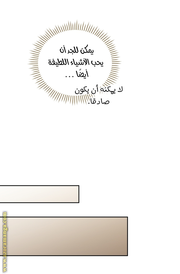 الصفحة 37