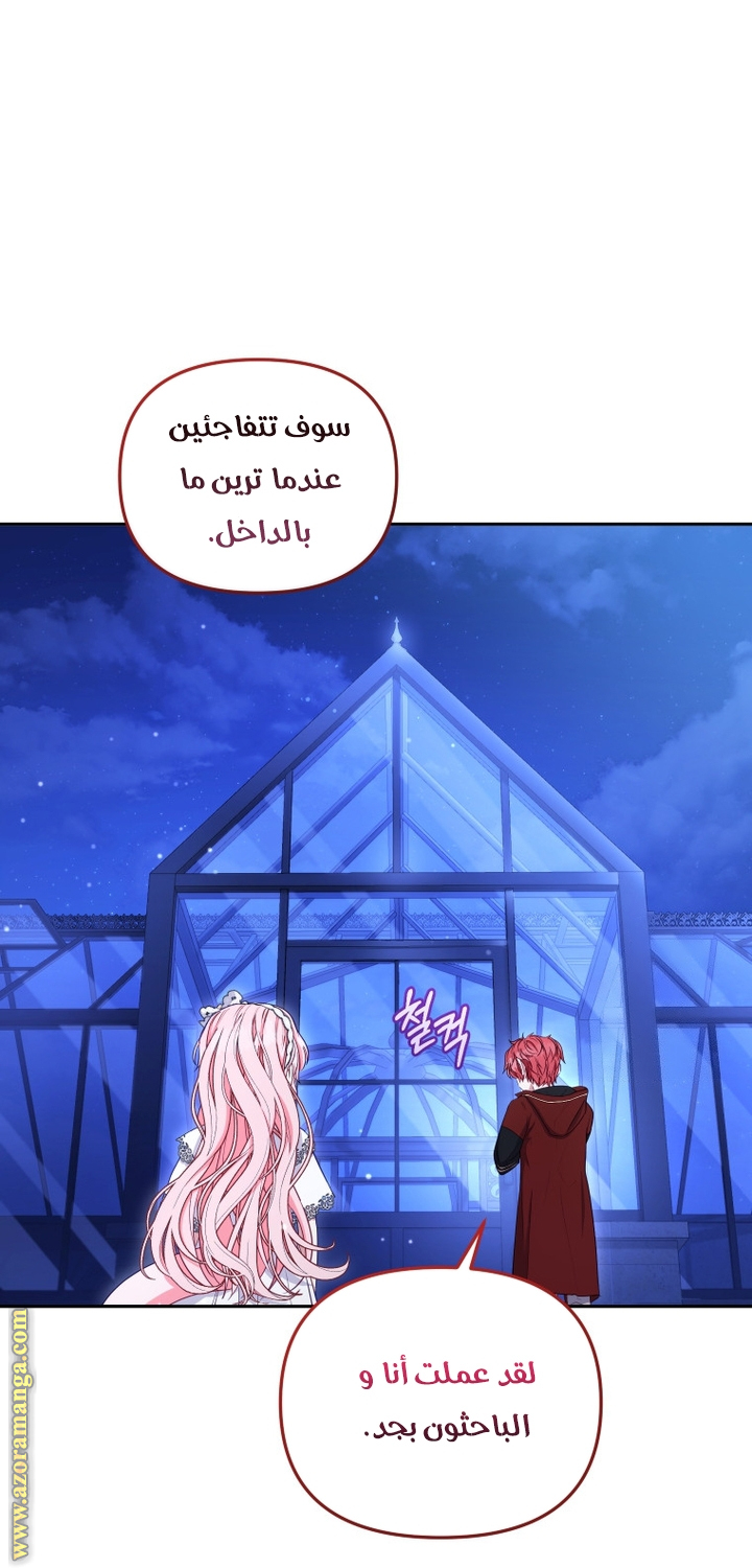 الصفحة 29