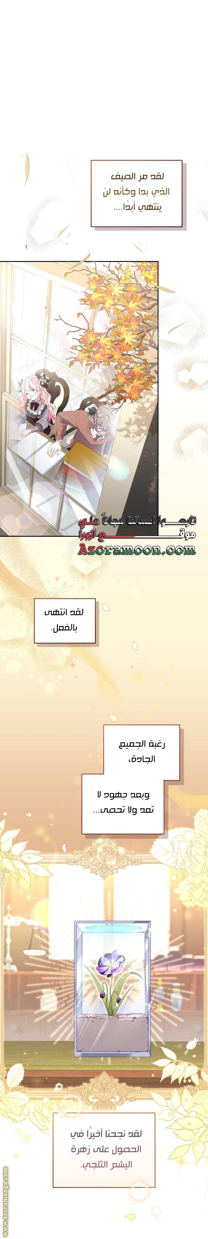 الصفحة 19