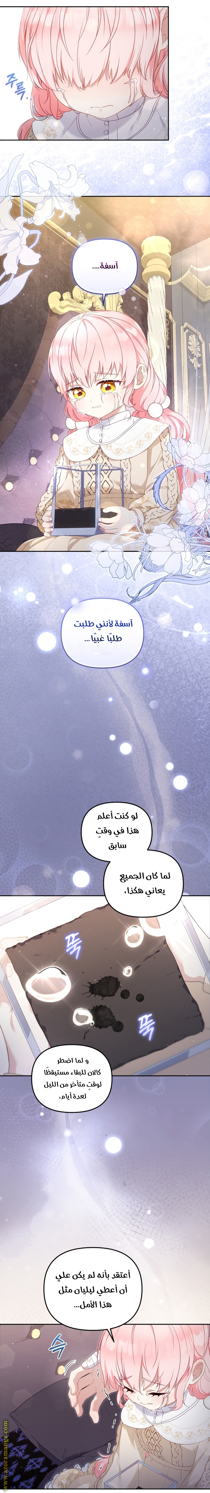 الصفحة 30