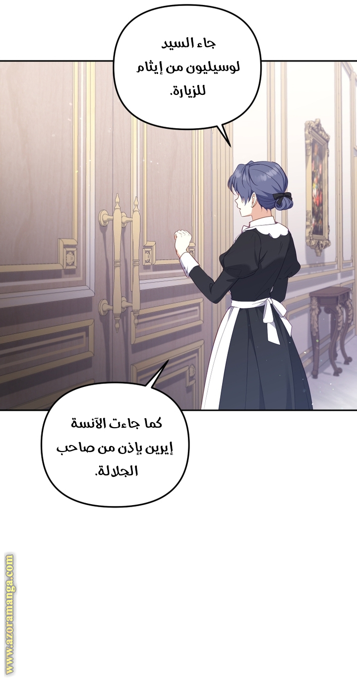 الصفحة 26