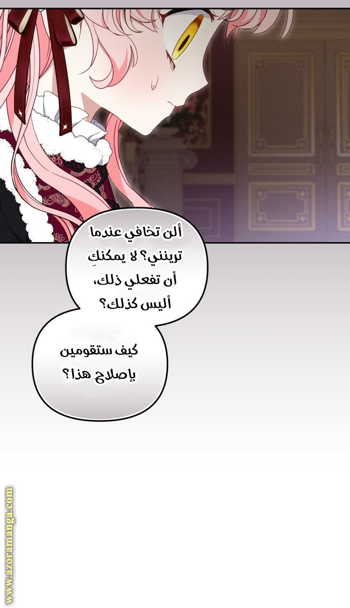 الصفحة 24