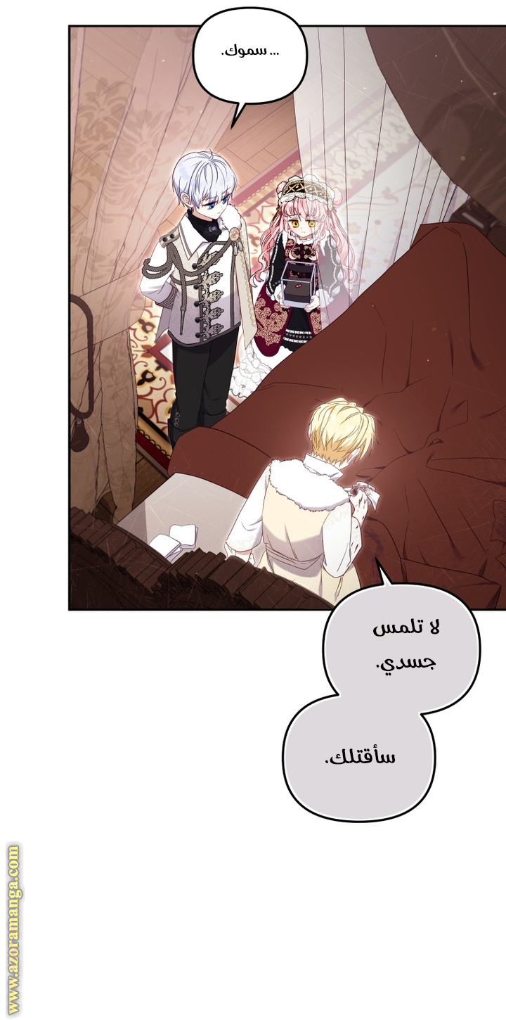 الصفحة 25