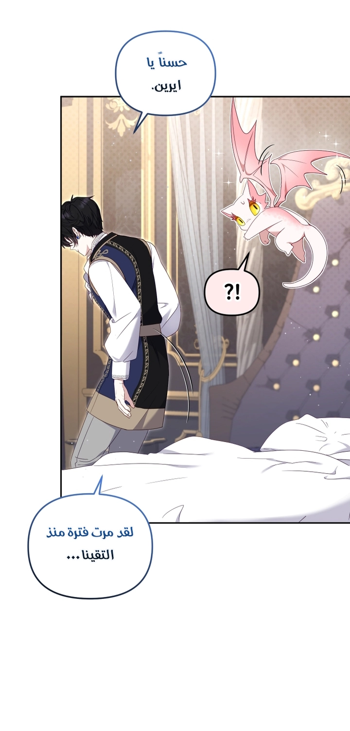 الصفحة 31