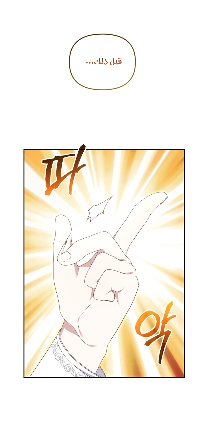 الصفحة 42