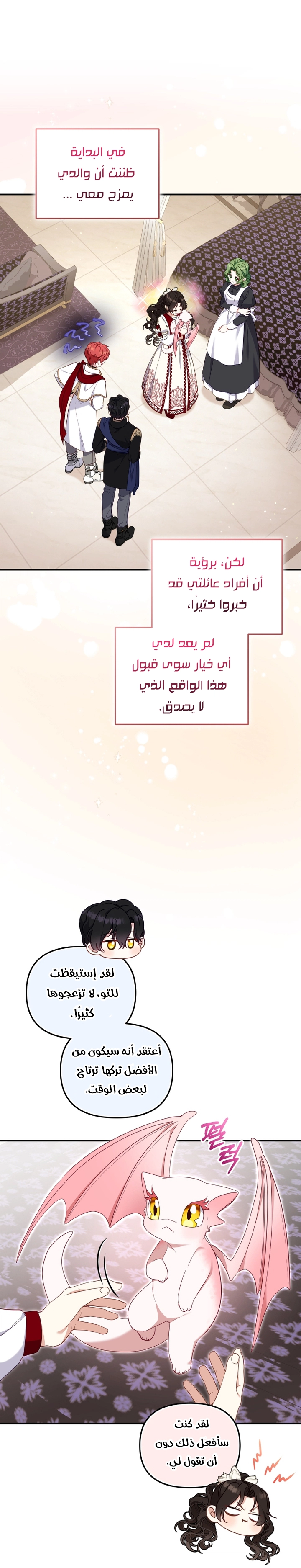 الصفحة 13
