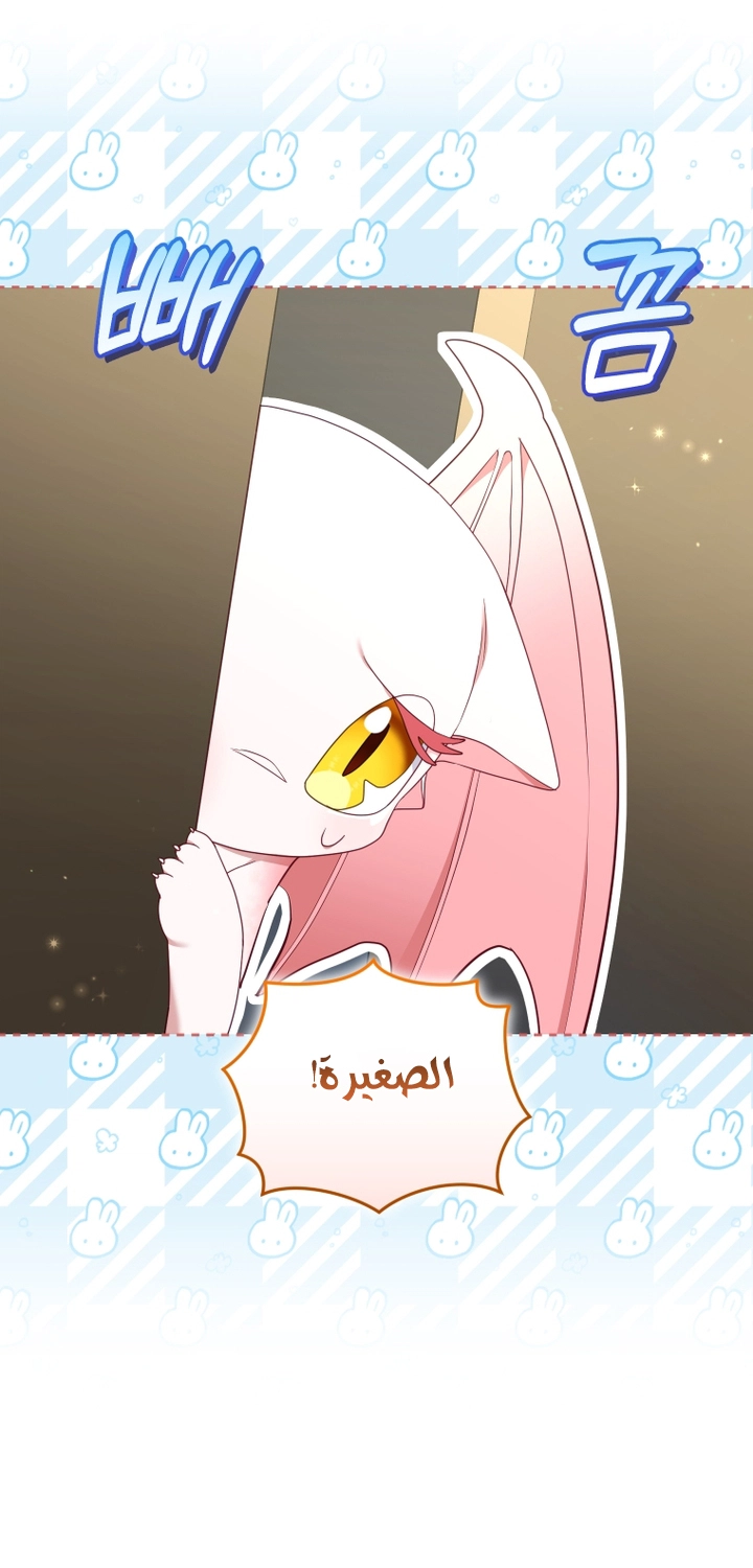 الصفحة 28
