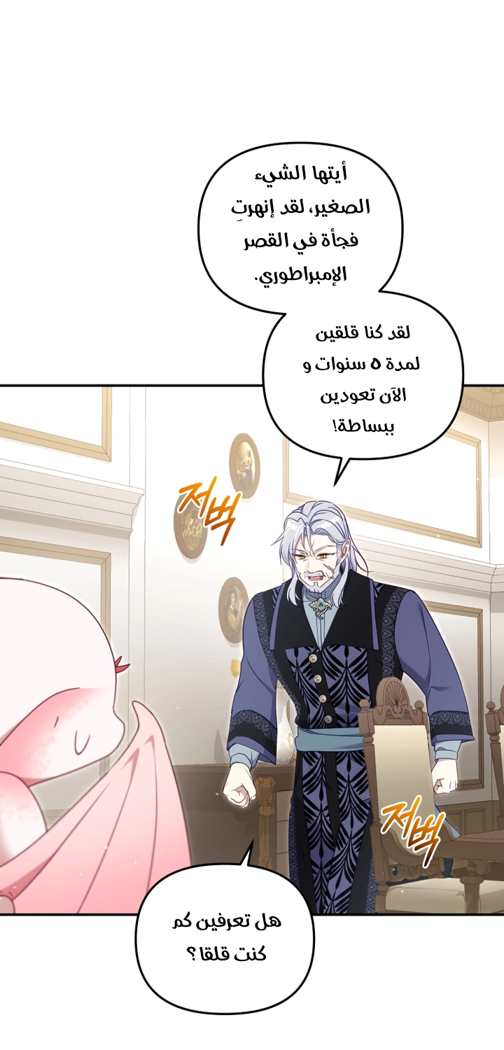 الصفحة 29