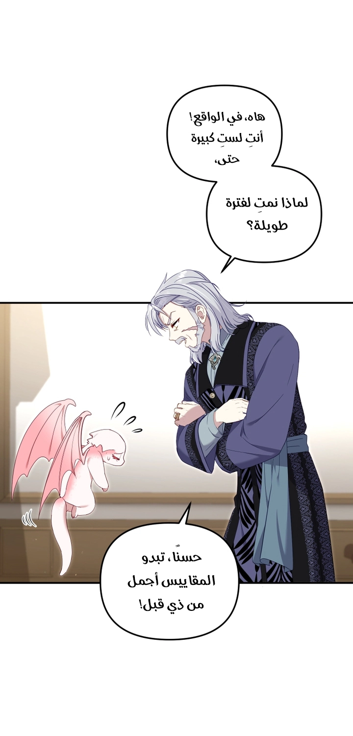 الصفحة 30