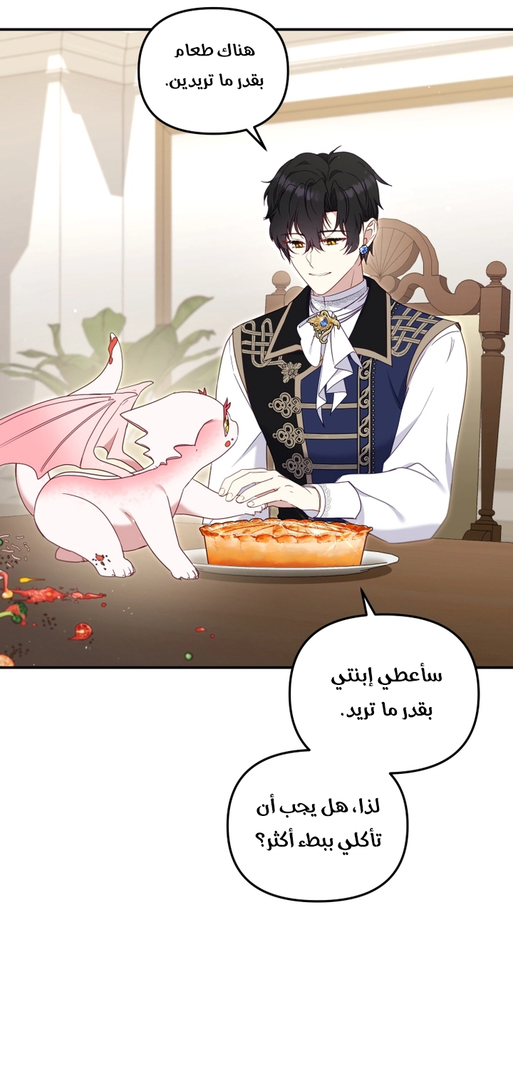 الصفحة 42