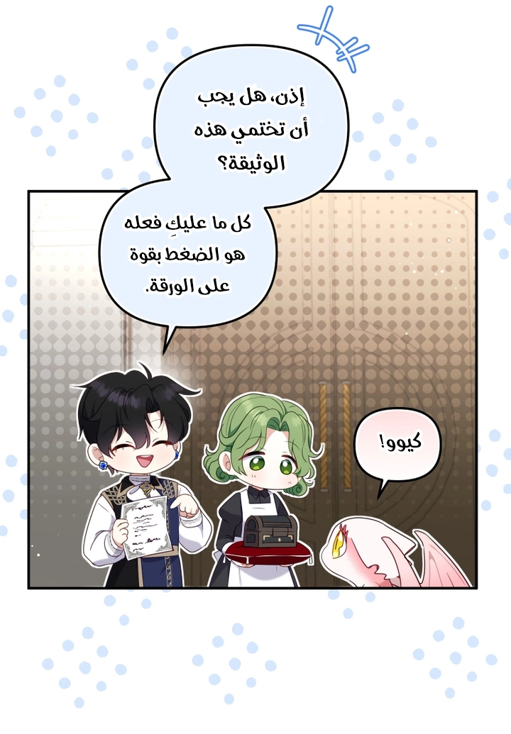 الصفحة 52