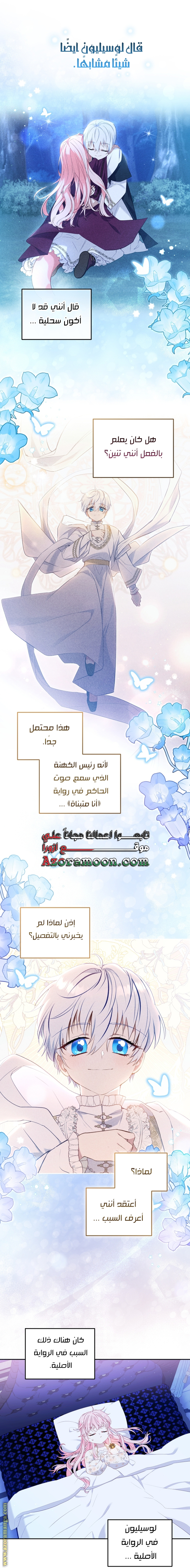 الصفحة 17